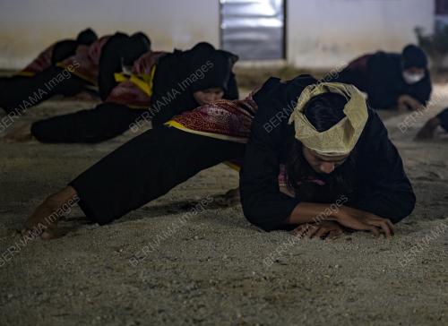 SILAT LAKSAMANA SINGA