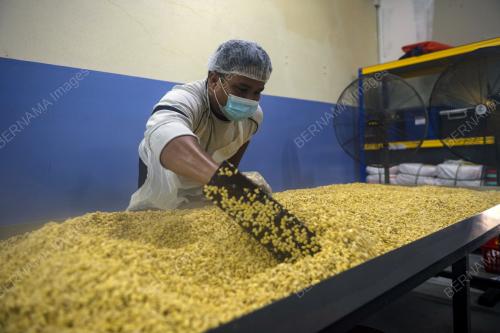 PEMBUATAN TEMPE DI POJI'S TEMPE, BUKIT TANGKAK