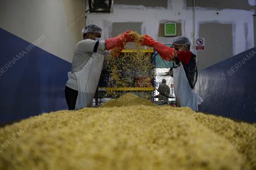 PEMBUATAN TEMPE DI POJI'S TEMPE, BUKIT TANGKAK
