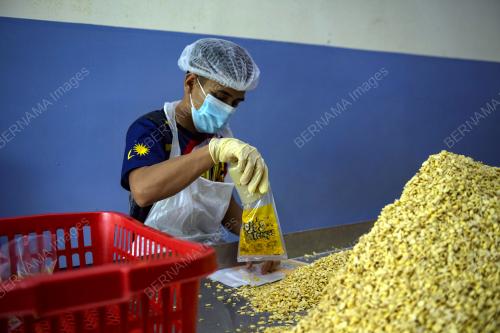 PEMBUATAN TEMPE DI POJI'S TEMPE, BUKIT TANGKAK
