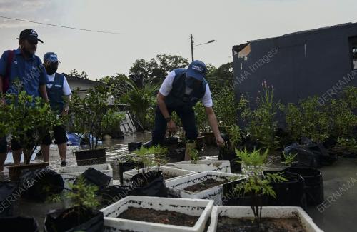 BANJIR CALON