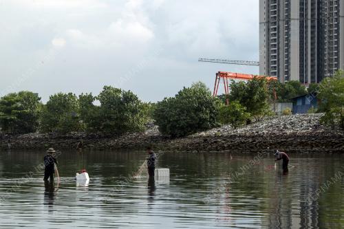AKTIVITI MENCARI HASIL LAUT DI PESISIR PANTAI STULANG