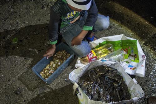 AKTIVITI MENCARI HASIL LAUT DI PESISIR PANTAI STULANG