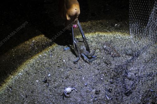 AKTIVITI MENCARI HASIL LAUT DI PESISIR PANTAI STULANG