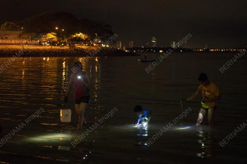 AKTIVITI MENCARI HASIL LAUT DI PESISIR PANTAI STULANG