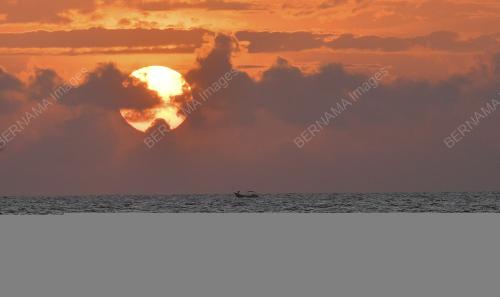 PRNJ_04_11032022_ENDAU_N32