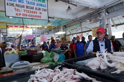 DATUK SERI SAIFUDDIN NASUTION ISMAIL
