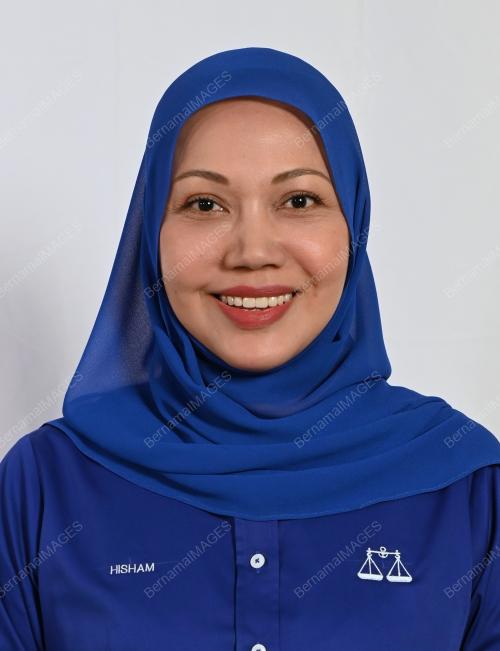 HISHAM SUHAILY OTHMAN