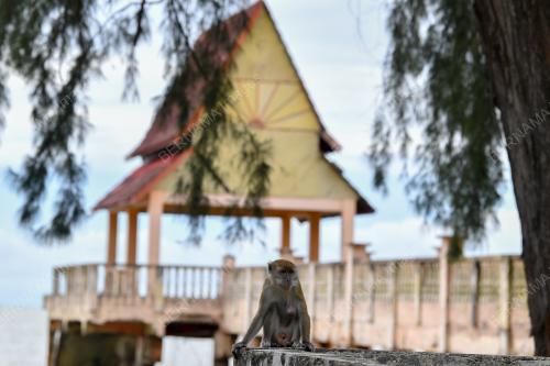PRNM10_13112021_TANJUNG_BIDARA