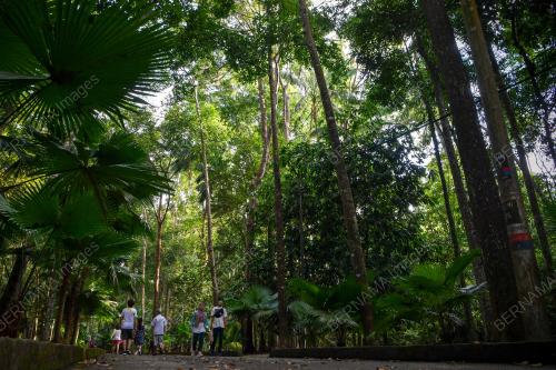 PRNM37_14112021_TAMAN_RIADAH