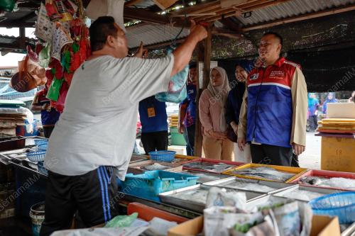 DATUK RIZAM ISMAIL