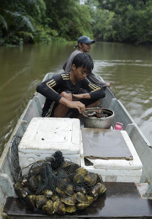 PRN SARAWAK KE-12
