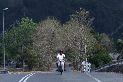 TINJAUAN CUACA PANAS
