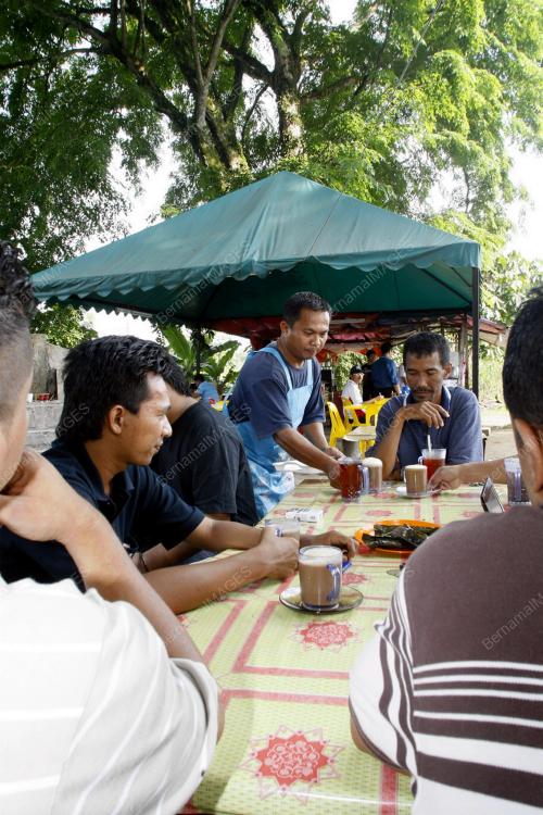 D'POKOK