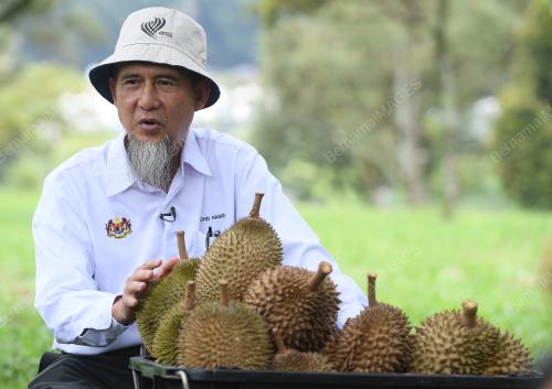MOHD NASIR WARRIS