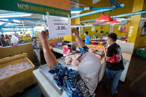 HARGA AYAM