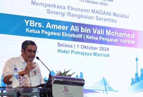 AMEER ALI VALI MOHAMED