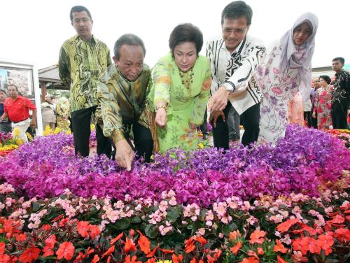 ROSMAH MANSOR