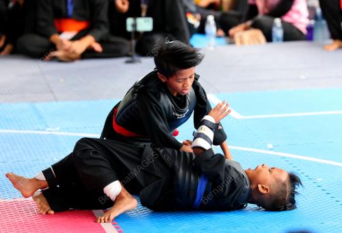 HARI SUKAN NEGARA 2022