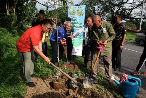 TANAM POKOK DI TAIPING