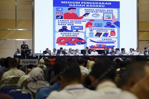 DATUK SERI DR SHAMSUL ANUAR NASARAH