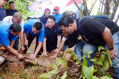 PTJ01_12092016_KORBAN