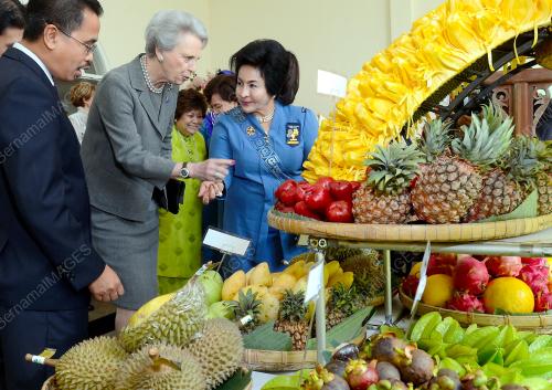 PTJ01_13012014_ROSMAH