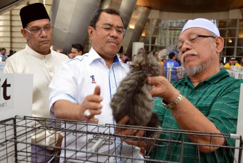 PTJ01_14092013_KUCING