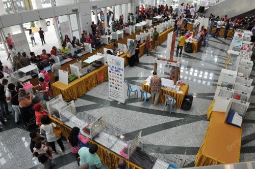 PTJ01_15032015_BINATANG