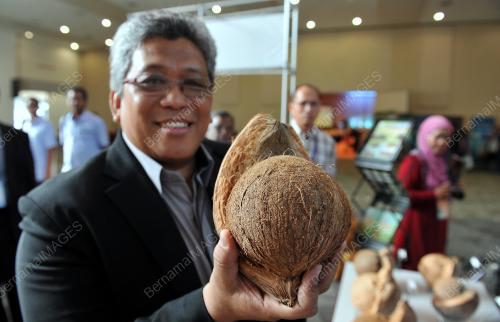 PTJ01_20052017_KELAPA