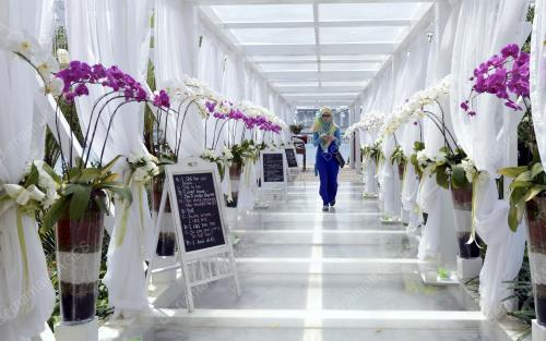 PTJ01_20062014_FLORIA_2014