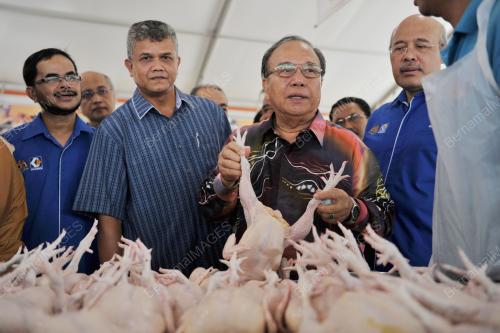 PTJ01_20082016_MYFARM