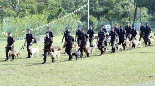 PTJ01_21042015_K9_PENJARA
