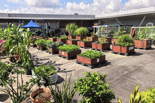 GARDENTOPIA
