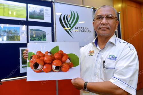 PTJ01_26072017_GUARANA