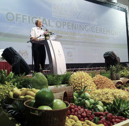 MOHD NAJIB TUN ABDUL RAZAK