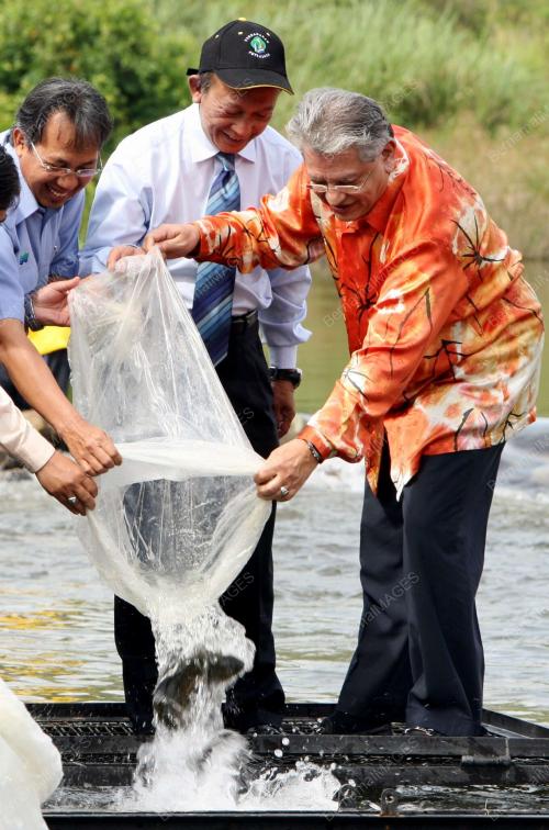 TENGKU ADNAN TENGKU MANSOR