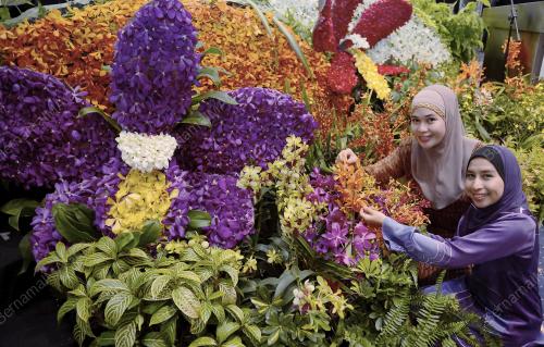PTJ01_30052013_FLORIA