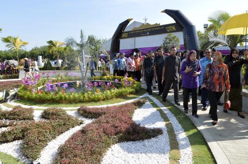PTJ01_30052015_FLORIA_2015