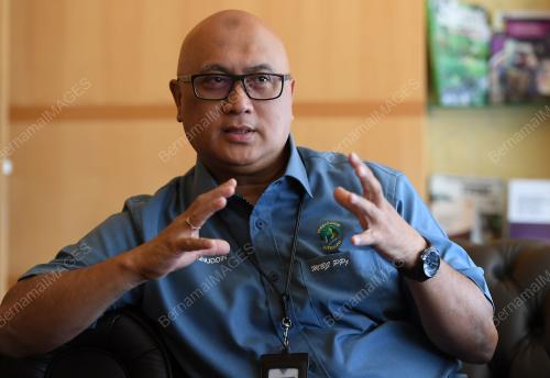 DATUK DR AMINUDDIN HASSIM