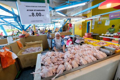HARGA AYAM