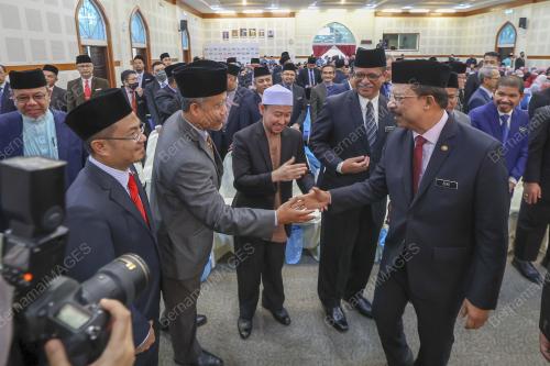 TAN SRI MOHD ALI HAMSA