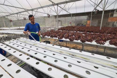 LADANG IOT