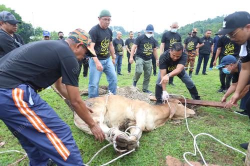 KORBAN