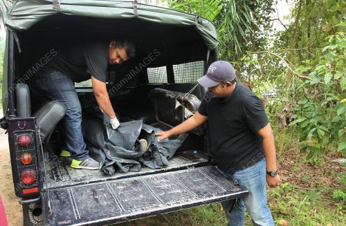 PTJ02_17062017_TEMBAK