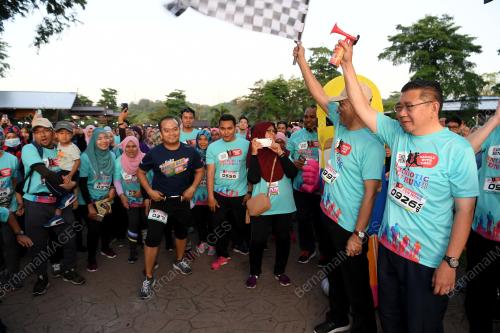 DATUK SERI DR DZULKEFLY AHMAD