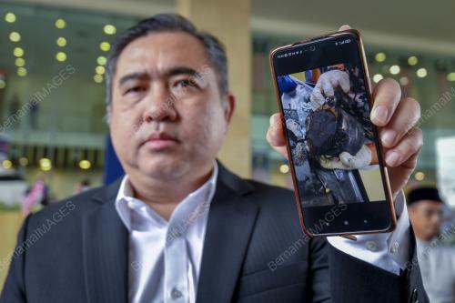 ANTHONY LOKE