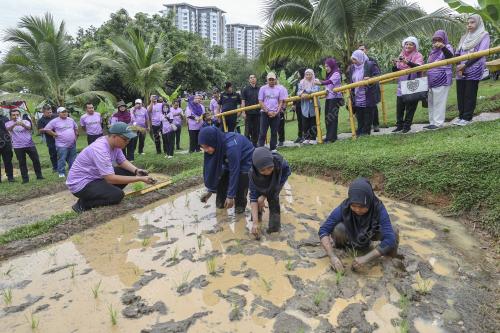 DATUK SERI DR AN AZIZAH WAN ISMAIL