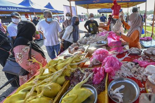 AYAM SEGAR DI PASAR TANI MAEPS
