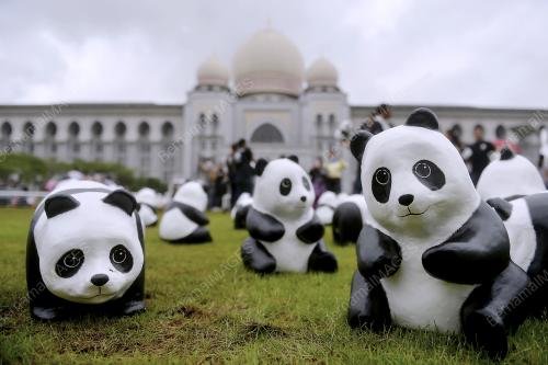 PTJ02_23122014_PANDA
